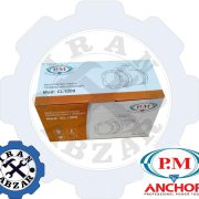 نورافکن 3 کاره حرفه ای پی ام مدل CL1200