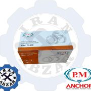 نورافکن 4 کاره حرفه ای پی ام مدل CL600
